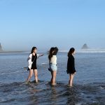 Karekare Beach