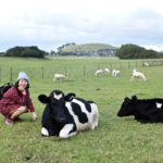 Ambury Farm