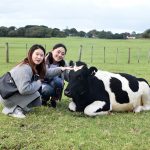 Ambury Farm