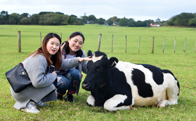 Ambury Farm