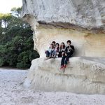 Cathedral Cove Coromandel