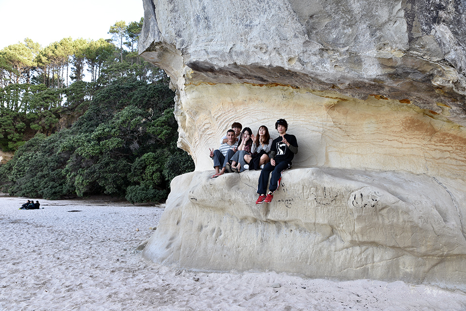 Cathedral Cove Coromandel