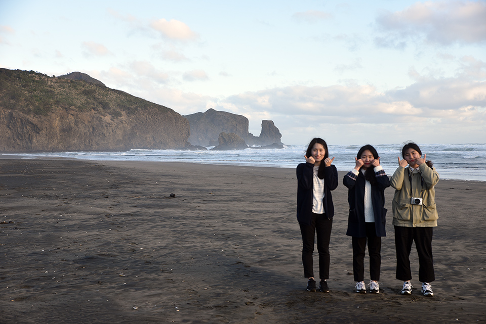 Bethells Beach