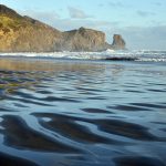 Bethells Beach