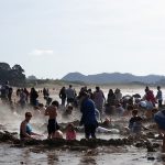 Hot Water Beach Coromandel