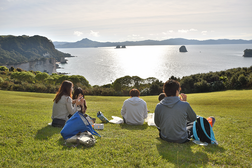 Picnic Spot Near Cathedral Cove Coromandel