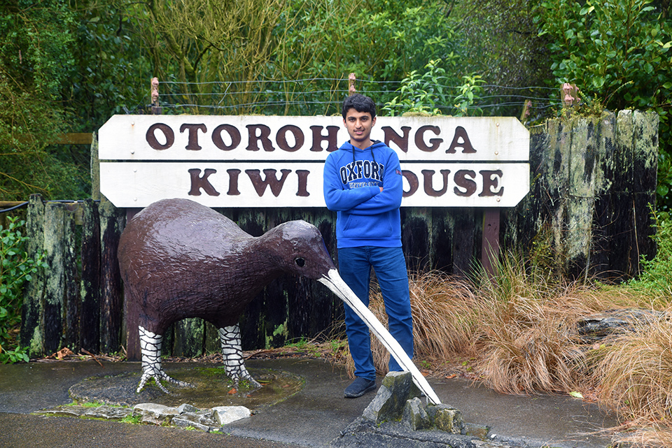 Otorohanga Kiwi House