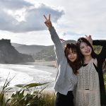 Tasman Lookout Track, Piha