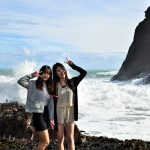 The Gap, Piha
