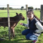 Ambury Farm