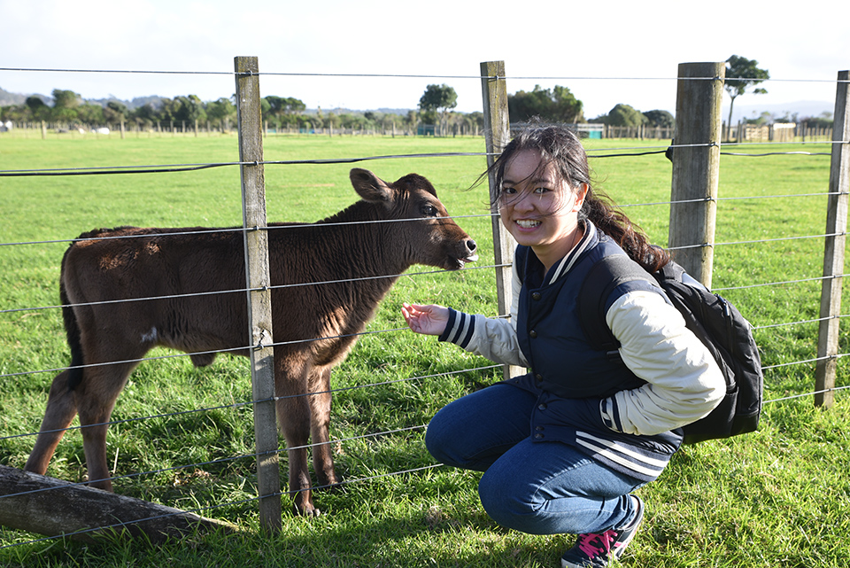 Ambury Farm