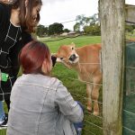 Ambury Farm
