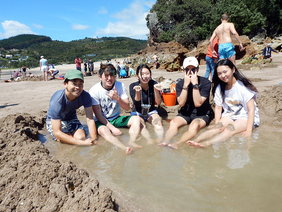 Hot Water Beach, Coromandel