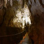 Ruakuri Cave, Waitomo