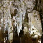 Ruakuri Cave, Waitomo