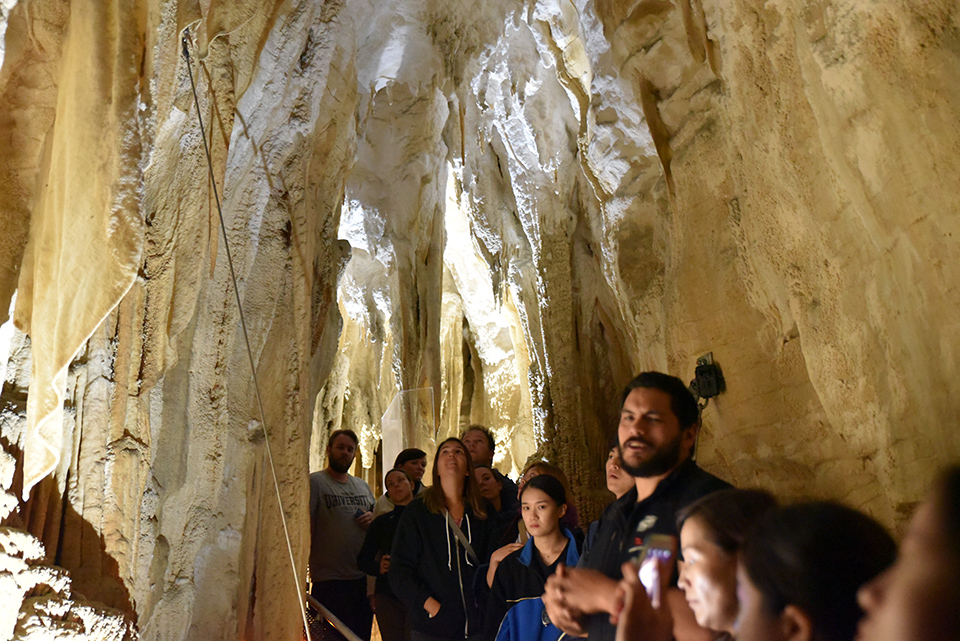 Ruakuri Cave, Waitomo