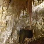 Ruakuri Cave, Waitomo