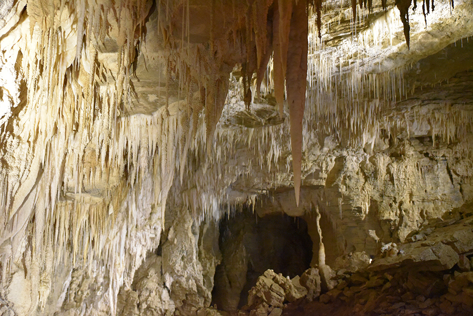 Ruakuri Cave, Waitomo