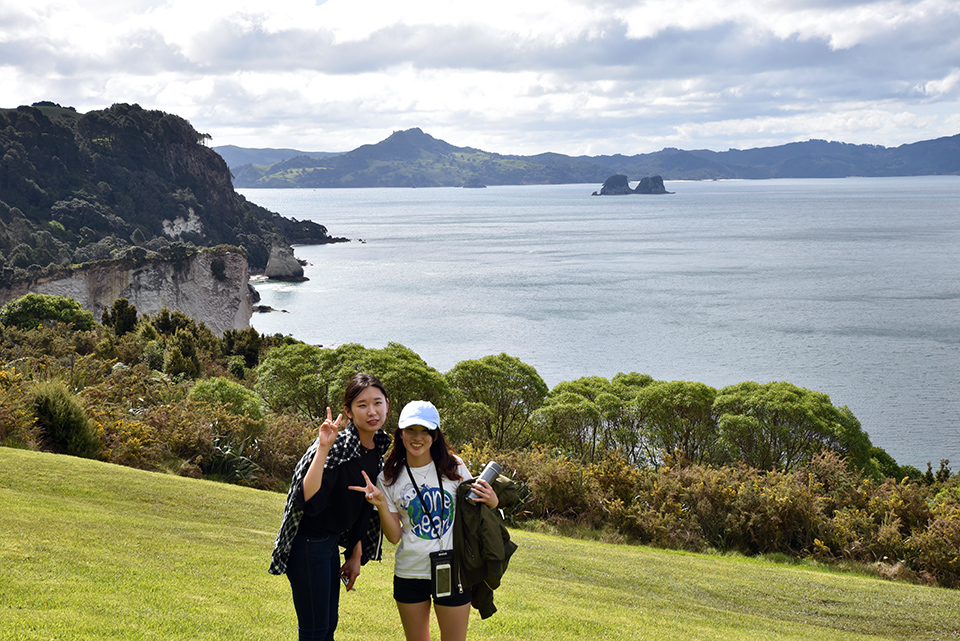 Cathedral Cove, Coromandel