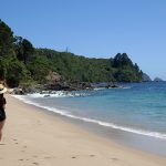 Ocean Beach, Tairua, Coromandel