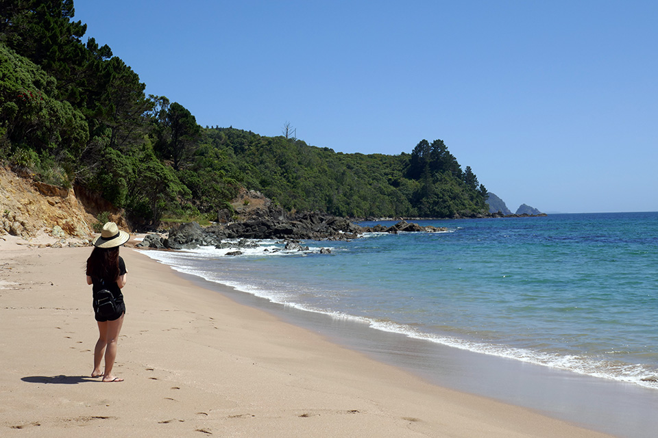 Ocean Beach, Tairua, Coromandel