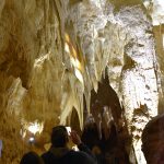 Ruakuri Cave, Waitomo