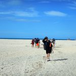 Pakiri Beach