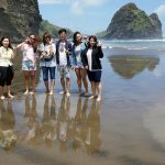 Piha Beach, Piha