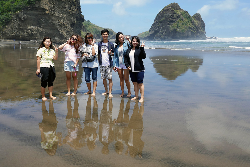 Piha Beach, Piha
