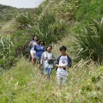 On the track to Karekare Beach, Karekare