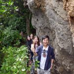 On the track to Tasman Lookout, Piha