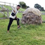 Hobbiton
