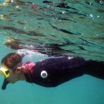 Snorkelling, Goat Island