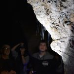 Ruakuri Cave, Waitomo