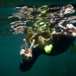 Snorkelling, Goat Island