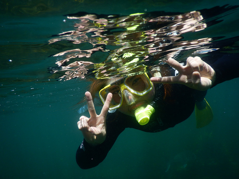 Snorkelling, Goat Island