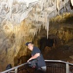 Ruakuri Cave, Waitomo