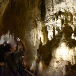 Ruakuri Cave, Waitomo