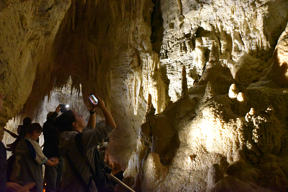 Ruakuri Cave, Waitomo