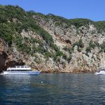 Poor Knights Islands