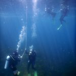 Safety stop, Poor Knights Islands