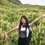 Lupins in flower near Karekare Beach