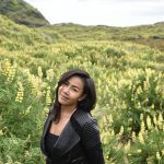 Lupins in flower near Karekare Beach