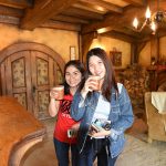 The Green Dragon Inn at Hobbiton