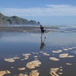 Bethell's Beach